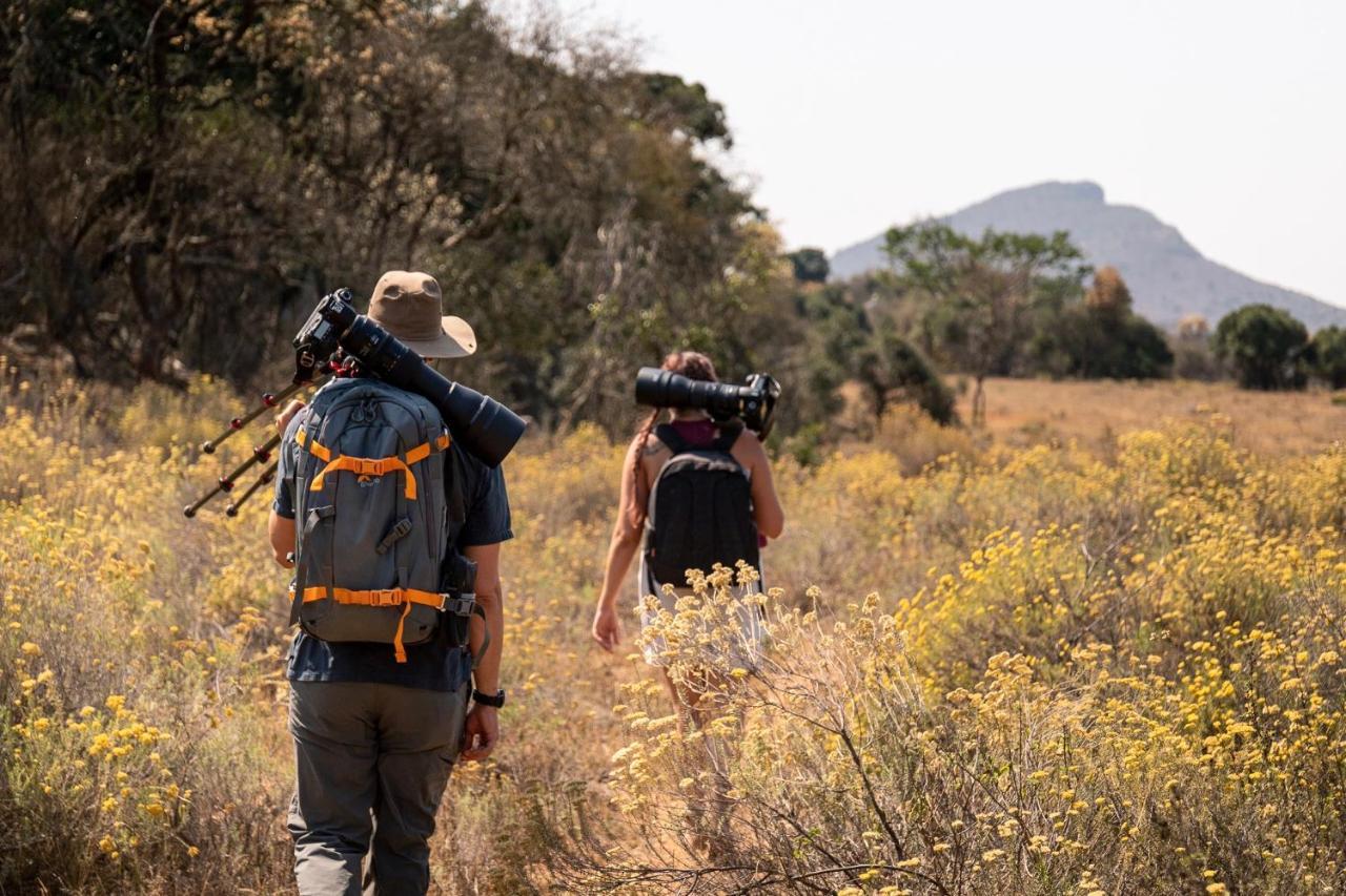 הוילה לואי טריכארט Leshiba Wilderness מראה חיצוני תמונה